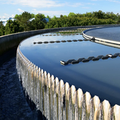 Life and environmental sciences