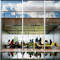 Study law at Sydney