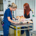 Veterinary science