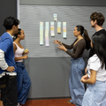 Bachelor of Project Management